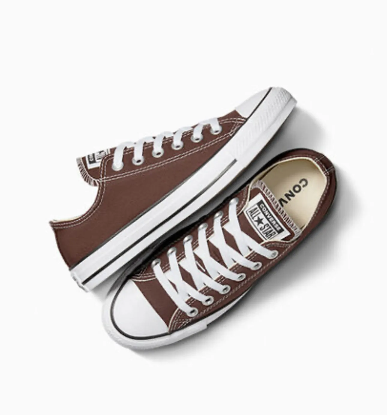 Converse All Star Eternal Earth Brown